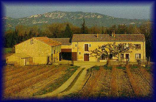 En France, la culture de la vigne es trs vieille.